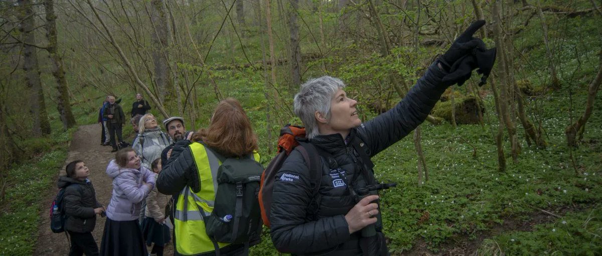 NlandNP's tweet photo. Join us for an early morning walk and talk with our Ecologist Gill, to enjoy the Dawn Chorus at Walltown Country Park on the 7 May.

Gill will identify birds by their song; help spot them along the way and give tips on how to independently ID them.

https://t.co/9tRfSXtRL8 https://t.co/YiMTW1JfW9