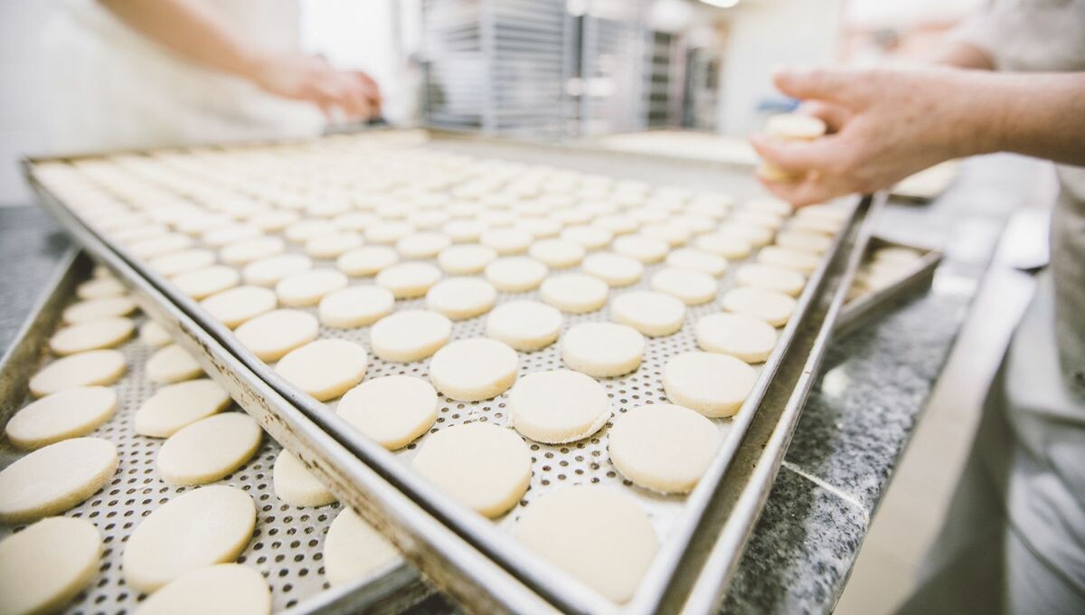 iciperigord's tweet photo. La biscuiterie familiale Saint-Michel de Champagnac-de-Bélair recrute un responsable de site de production et un cariste. Les infos ci-dessous et n'hésitez pas à partager !
➡️ https://t.co/dB8bfZ4S25 #dordogne #emploi #postule https://t.co/4gsyve8Dxk