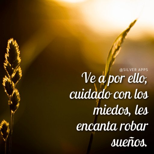 EscueladeVida21's tweet photo. https://t.co/BmprP2pVXT