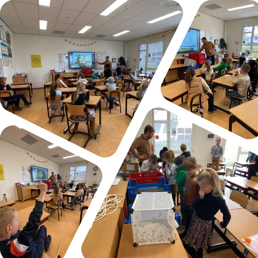 Gastles over vliegen en hun larven in groep 4. Dat is interessant!
#themakriebelbeestjes
#Brandevoort 
#Brainportonderwijs