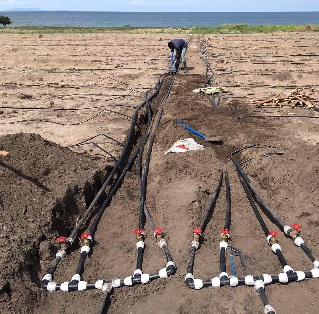 greenagrictz's tweet photo. Irrigation is quite different from plumbing,  unafikiri hapa huyu fundi alikosea wapi kwenye layout design na piping system ? https://t.co/Kn0oZANz0z