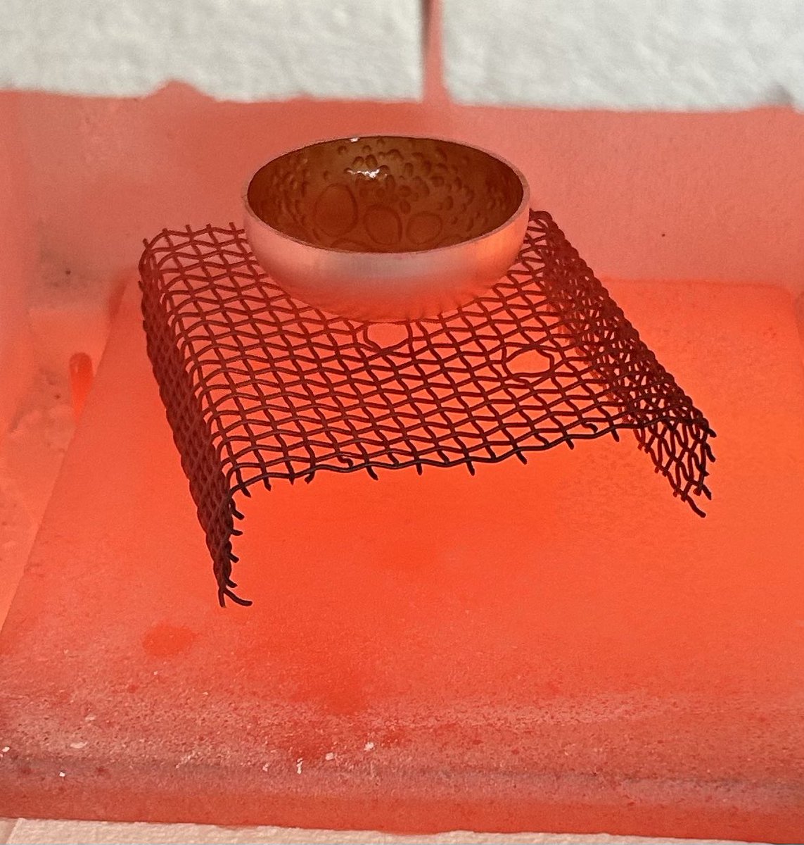 Cara Murphy tweet media