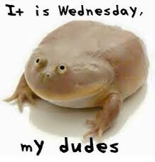 GM 
You know the drill