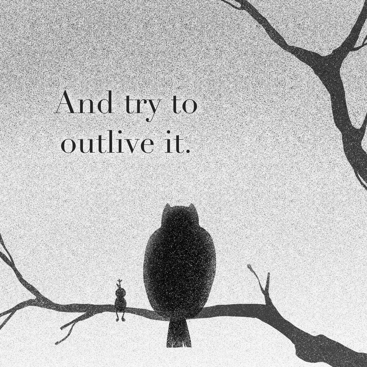 2/2 a comic about an owl 