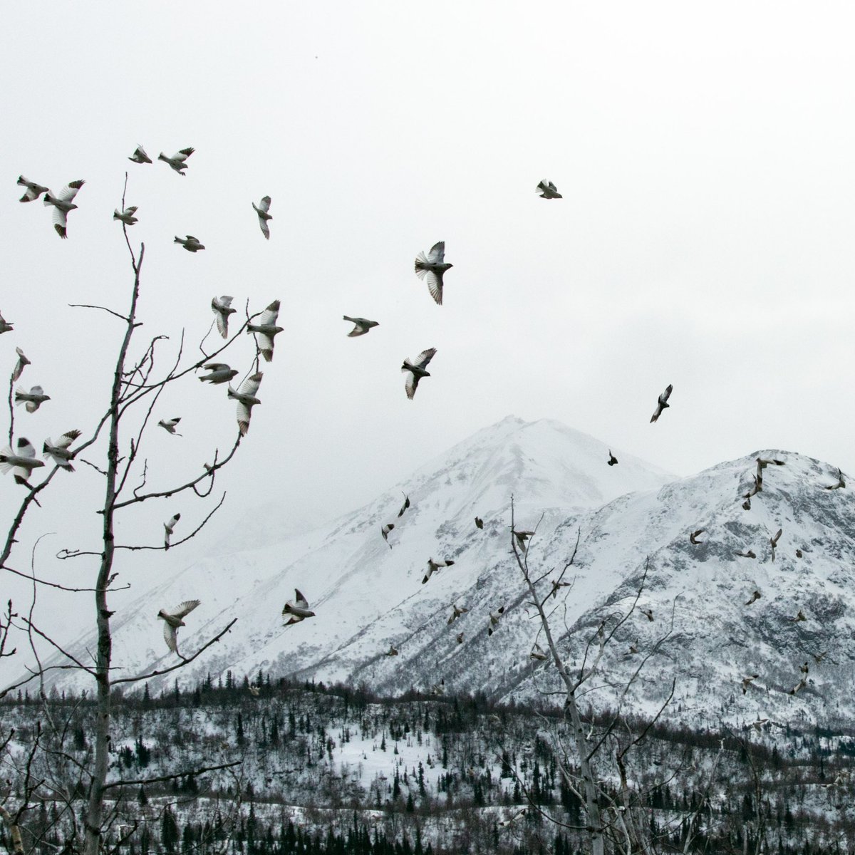 Jeremy Pataky tweet media