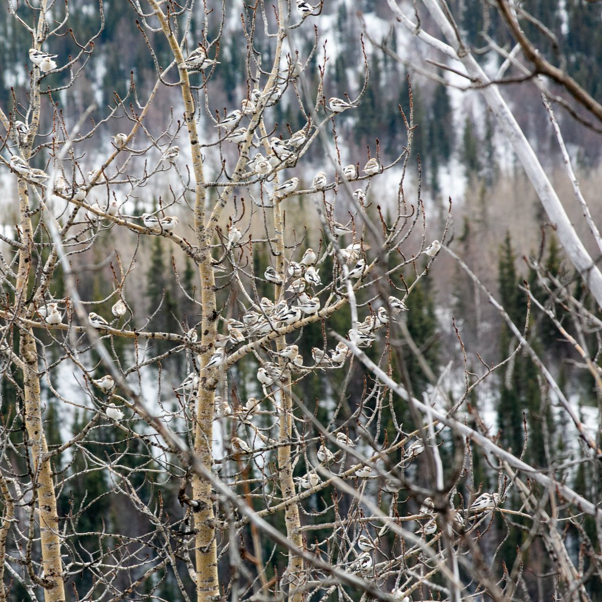 Jeremy Pataky tweet media