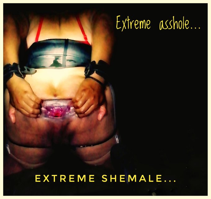 #Shemalevideo #shemalehot #tranny #trans https://t.co/Itpy4gufAX<a href="/tag/shemalevideo"class="tags">#Shemalevideo</a><a href="/tag/shemalehot"class="tags">#shemalehot</a><a href="/tag/tranny"class="tags">#tranny</a><a href="/tag/trans"class="tags">#trans</a>