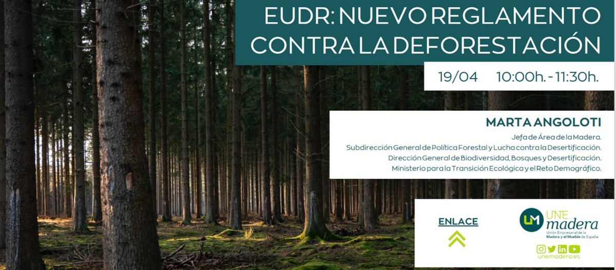 EUDR: nuevo Reglamento contra la Deforestación.

Webinario con Marta Angoloti.
19 de abril de 10:00h. a 11:30h.

#ademan #UNEmadera #PlanetaMadera #EUDR #deforestacion #forestal