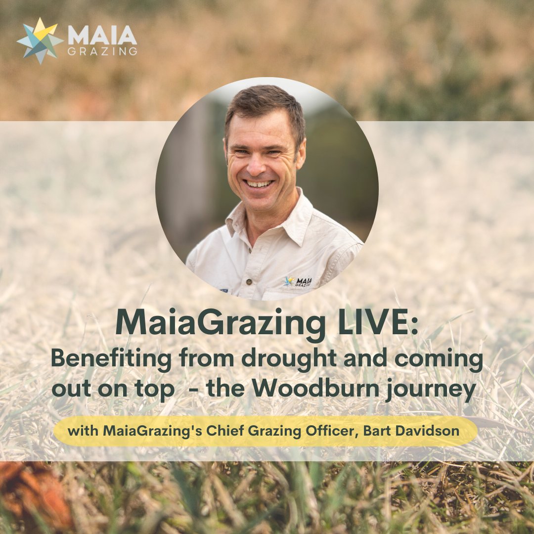 AtlasGrazing's tweet photo. 27 APRIL, 12pm | Join our Chief Grazing Officer, Bart Davidson as he shares key learnings on how to manage through drought successfully in our live Q&amp;A session, MaiaGrazing LIVE. https://t.co/Rc7PqLvM0h
#grazingmanagement #drought https://t.co/Y1v3zMyjtS
