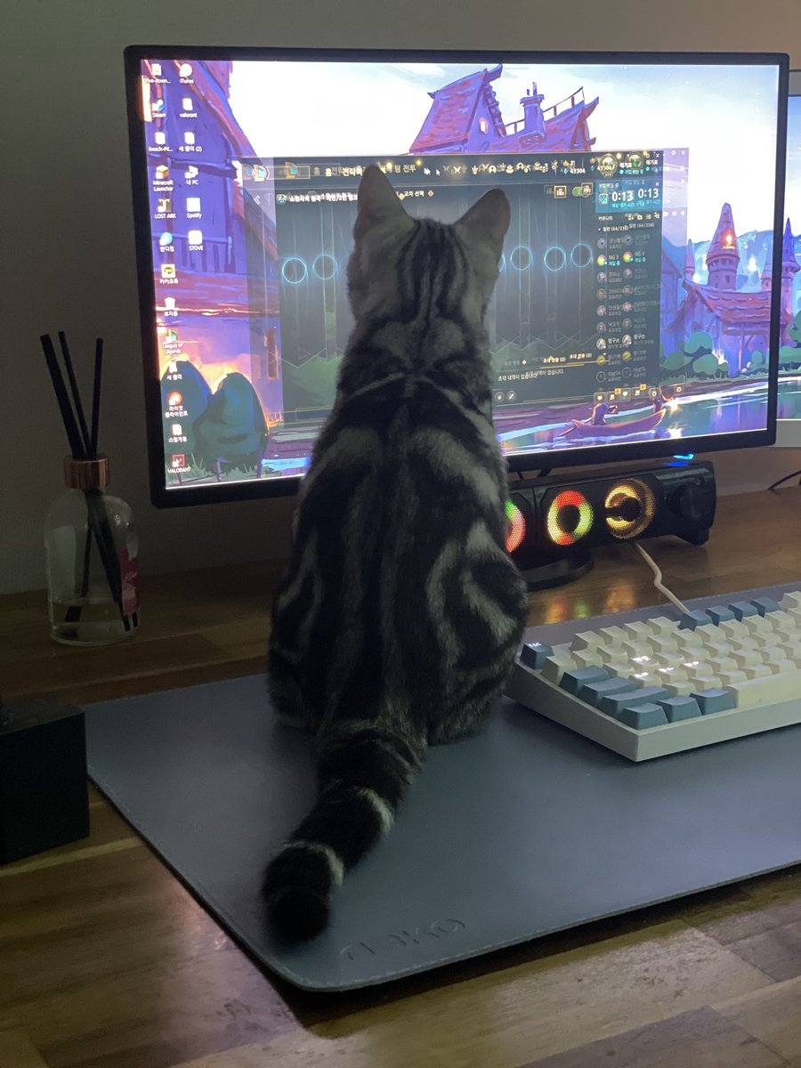 Willer_LoL's tweet photo. 요청하신 자료들 - 아프리카방송 https://t.co/42W3x2sP8l