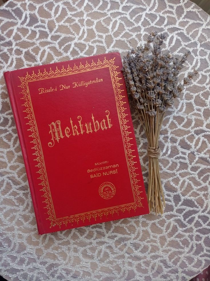 📕Allah birdir. Başka şeylere müracaat edip yorulma, onlara tezellül edip minnet çekme, onlara temelluk edip boyun eğme, onların arkasına düşüp zahmet çekme, onlardan korkup titreme.
(#Mektûbat)📚