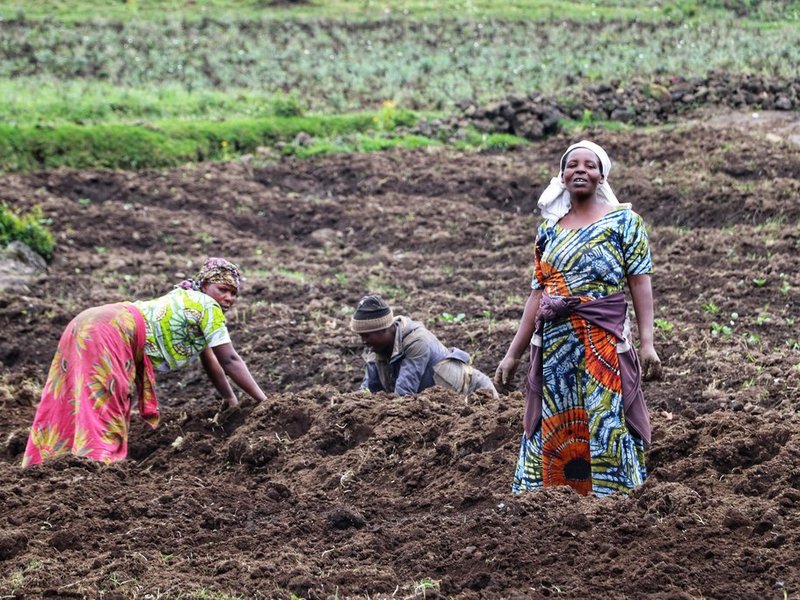 Zambian #smallscalefarmers lack access to diverse crops and have limited markets to sell their products. The company @goodnatureagro has set itself the goal of making the income of local smallholders #sustainable by diversifying crop options and training extension agents.