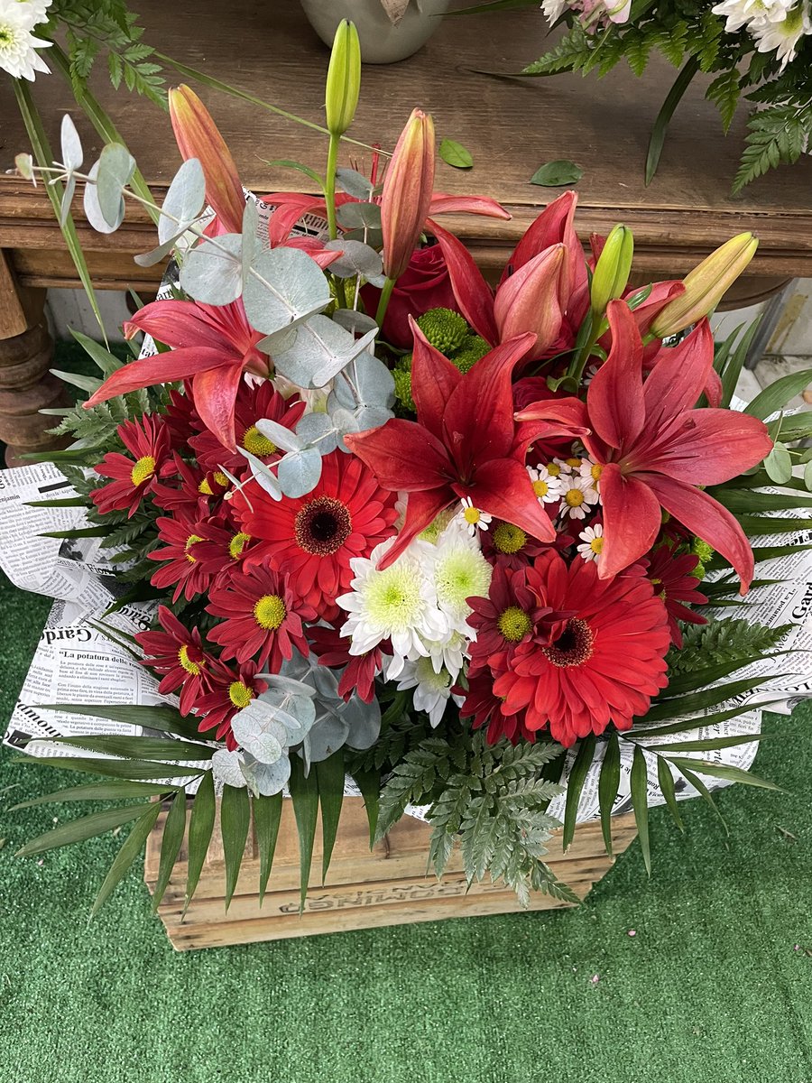 florquimia's tweet photo. Ramos✨❤️🤍

📍C/ Derechos humanos,14
📞919474721
📞641323118

⏰L-D DE 9:00 a 21:00

#Madrid #ramos #flores #plantas #tulipanes #margaritas #rosas #coronas #M30 https://t.co/XLLoOm8v0J