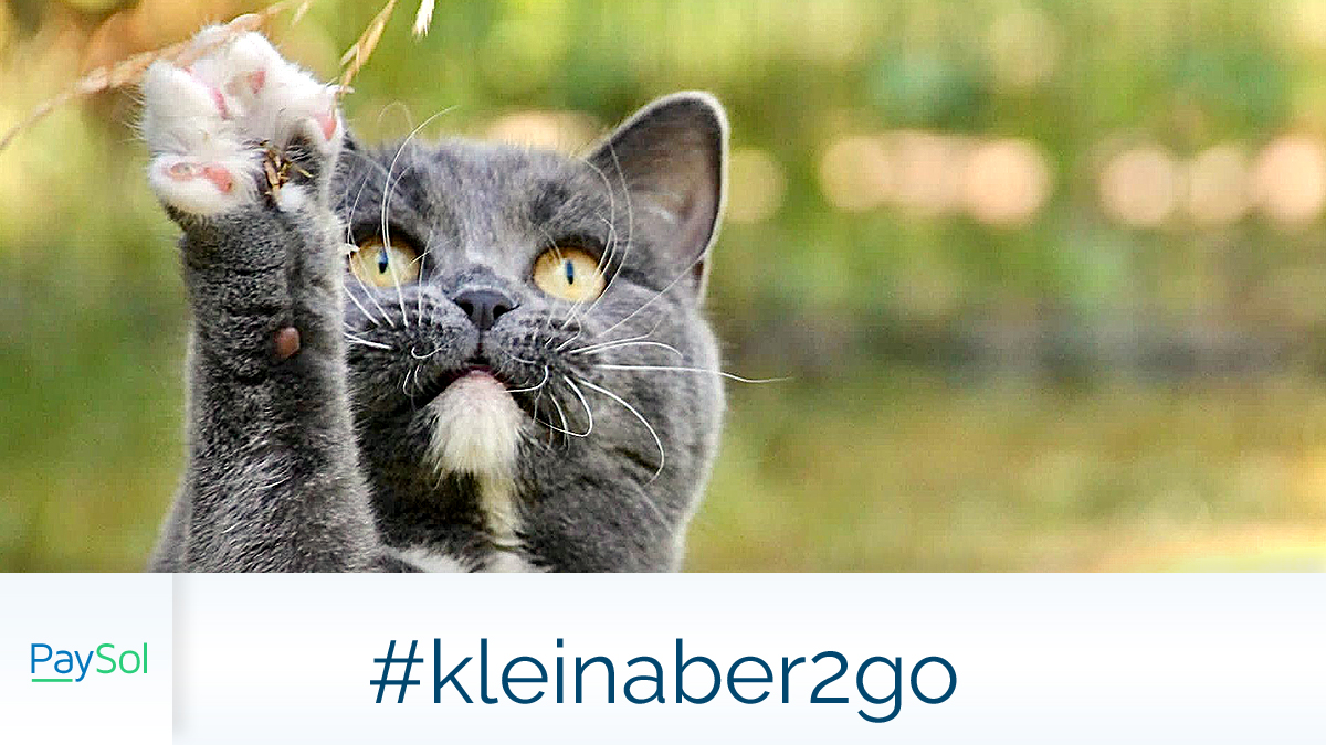 Nicht nur zum High-Five-Tag:
Gib mir 5… % Reise-Rabatt! 🖐️
paysol.de/klick/z9ikq

#kleinaber2go #HighFiveTag