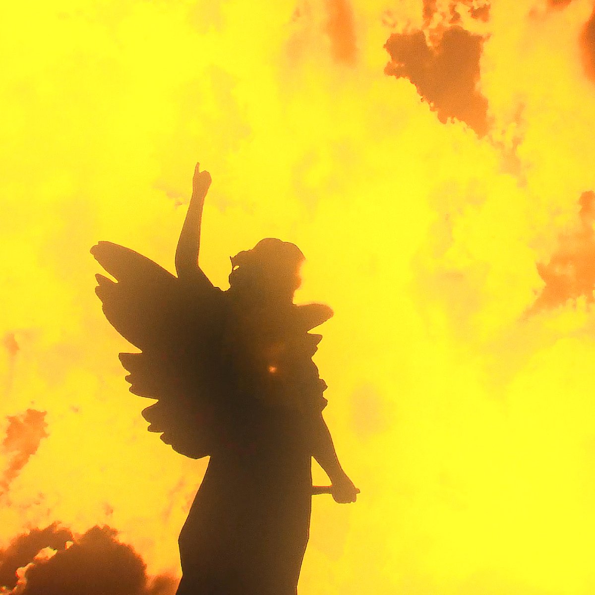 Fifth Angel tweet media
