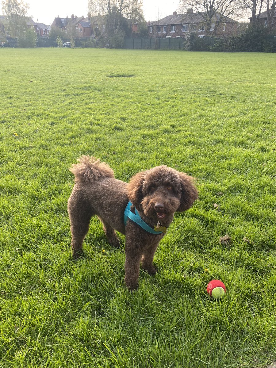 Morning everyone! It’s a school day today! Come and play! T🐾