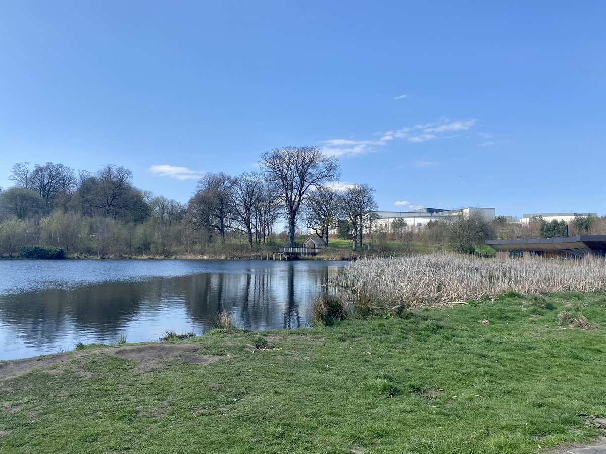 hassle300mph's tweet photo. I will never grow tired of this view @NHSForthValley #gooddayatwork 🥰 https://t.co/3Z01CBc7Jk