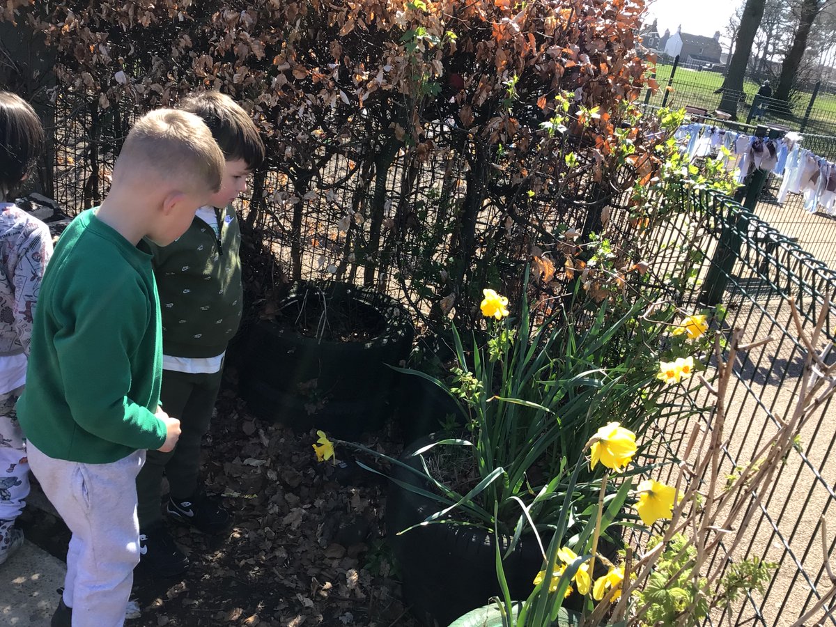 WoodlandsPrim1's tweet photo. Caring for the plants, flowers and seeds as they all need water to help them grow #caringfortheenvironment #science #HWB #earlyyears https://t.co/UBJLnh74zS