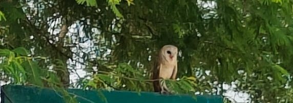 srinivaskifs's tweet photo. At Tejovanam Siddipet urban park. https://t.co/ces3sqONqB