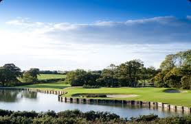 Great Days Golf tweet media