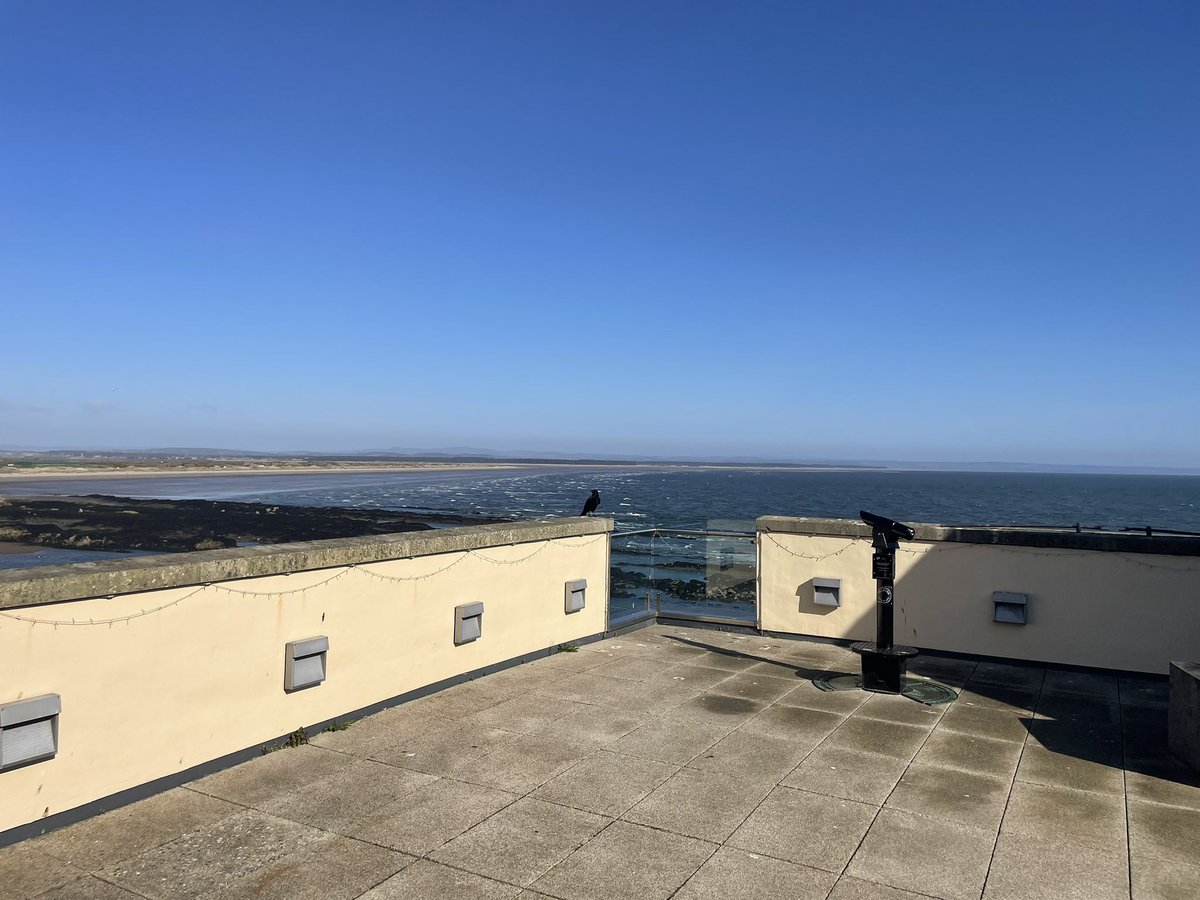 Esperanto and Internationalism tweet media