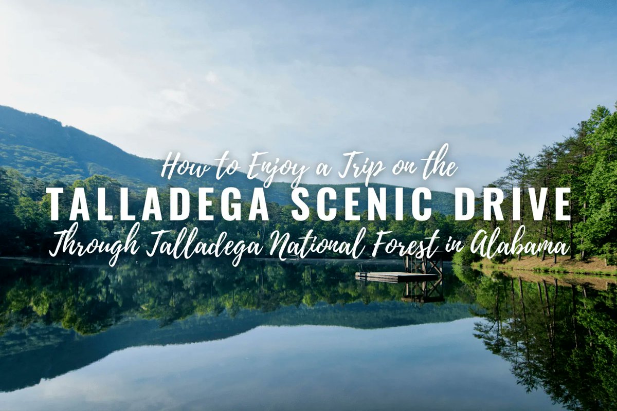 The 26-mile Talladega Scenic Drive is a gorgeous detour through the national forest that leads to Cheaha State Park at the highest point in #Alabama @TweetHomeAla #travel Learn how to find the scenic route at roadtripsandcoffee.com/talladega-scen…