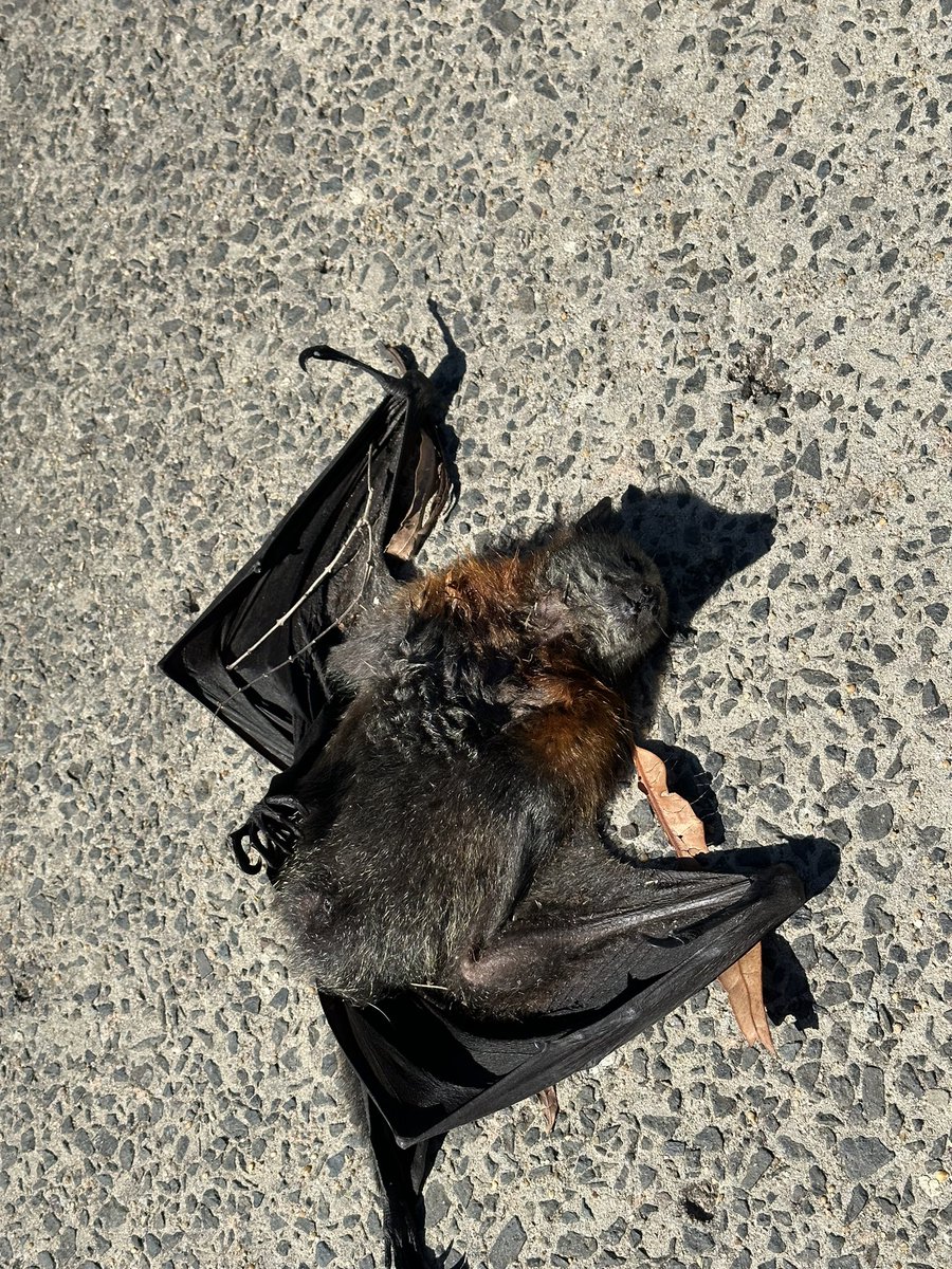 Joao Sol (@joaosol666) on Twitter photo 