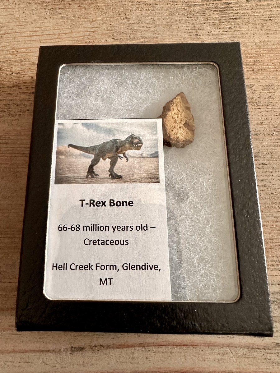 Ame Dyckman✨ tweet media