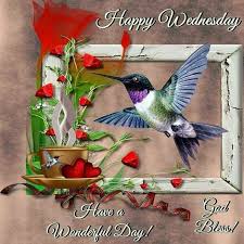 Hummingbird lover usa (@hummingbirdlo14) on Twitter photo 