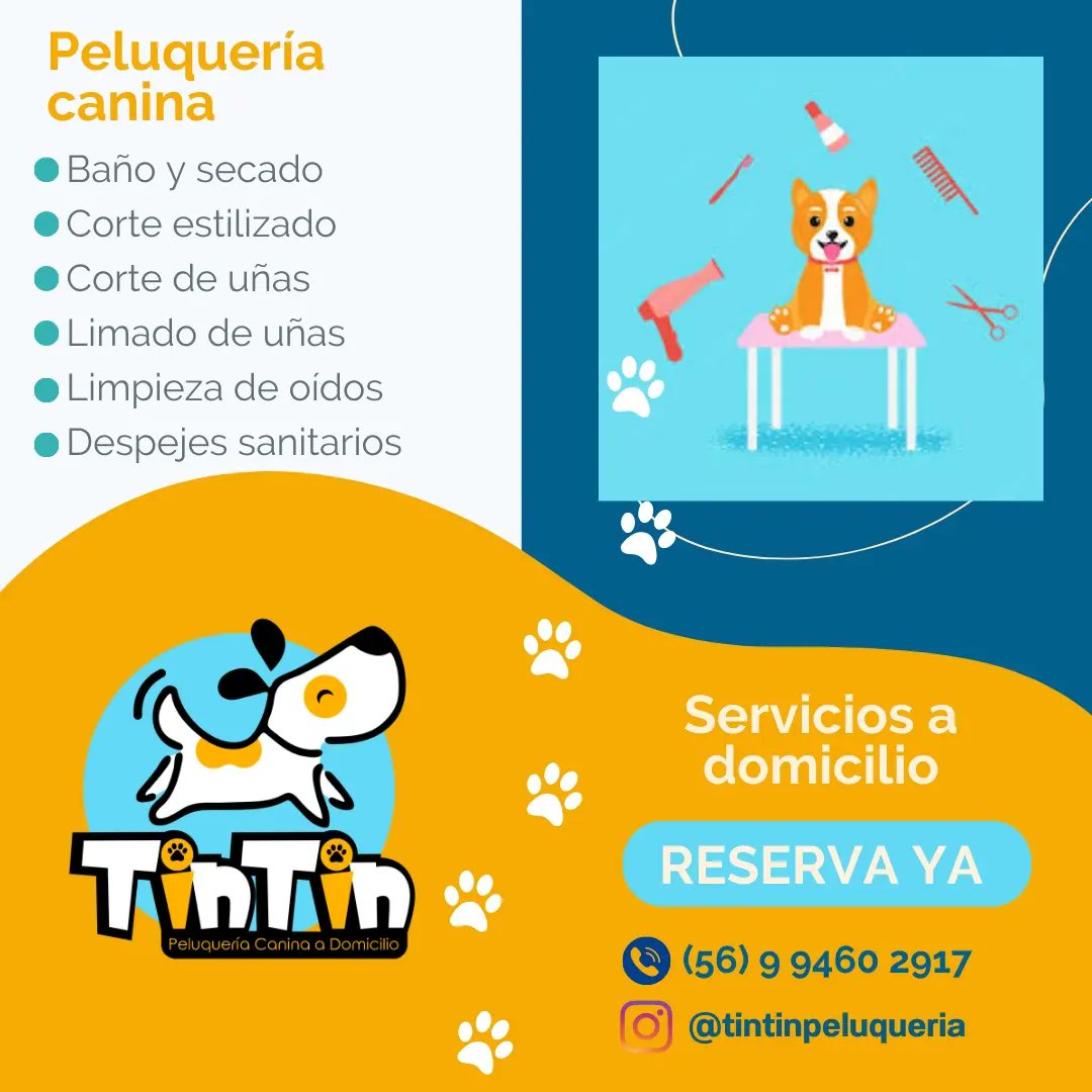 Para los que están en Santiago de Chile y quieren consentir a sus perritos sin salir de la casa, te recomiendo está página.

instagram.com/tintinpeluquer…

#peluqueriacaninaadomicilio #SantiagodeChile #Perros #bañodeperros
