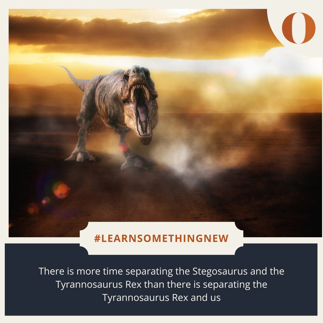 Oxford Summer Courses tweet media