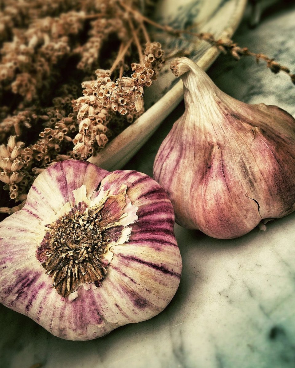 Don’t sit next to us today! We’ll be piling on the fresh garlic for #nationalgarlicday. Are you a garlic fan? Yay 👍 or Nay?⁠👎

#vafoodie⁠