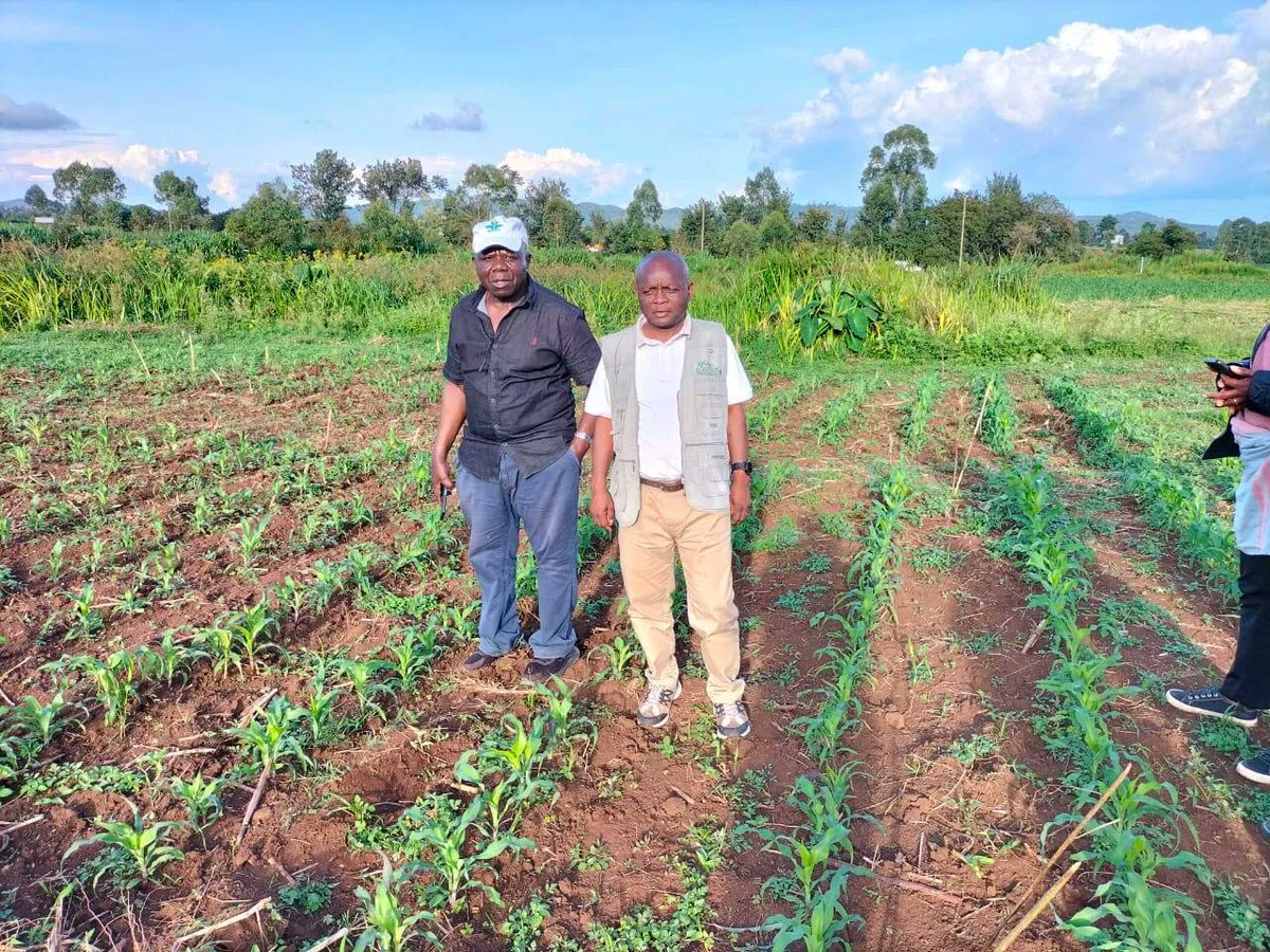 Seed Systems Group tweet media