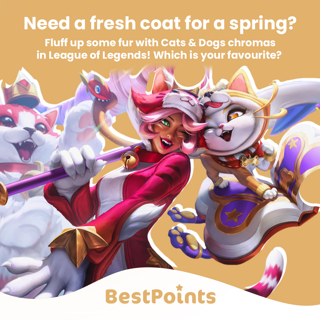 points_best's tweet photo. Need a fresh coat for a spring? 🌷 Fluff up some fur with Cats &amp; Dogs chromas in League of Legends! 🐱🐶 Which is your favourite? 🤩

#bestpoints #leagueoflegends #lolchromas #gamingnews #game #freeriotpoints #bestpointsapps https://t.co/tiuvi4wUCH