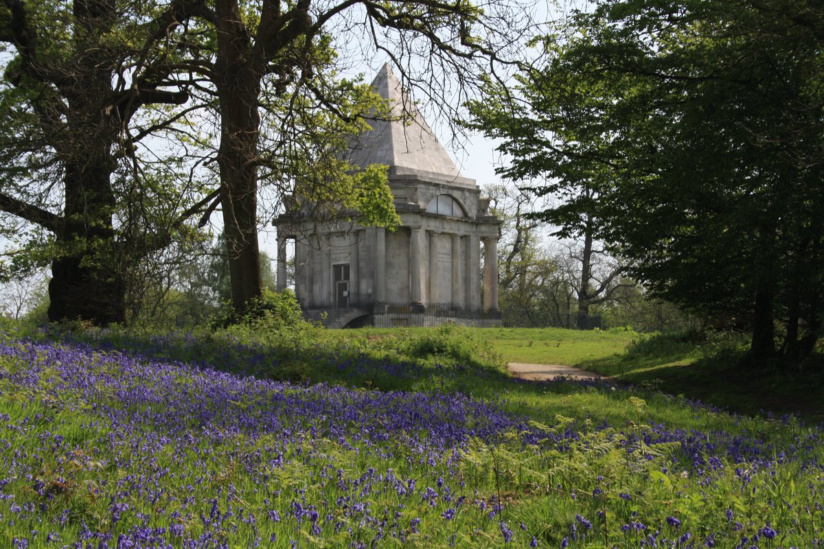 Visit_Gravesham's tweet photo. Bluebells are coming out!
#Gravesham has some of the best spots on offer.
@southeastNT #Cobhams Wood and Mausoleum, @WoodlandTrust Ashenbank Wood and
@kent_cc Trosley Country Park are the places to go.
Get snapping & share your best pics with us! 📸🤳 https://t.co/ztghCTxHdJ