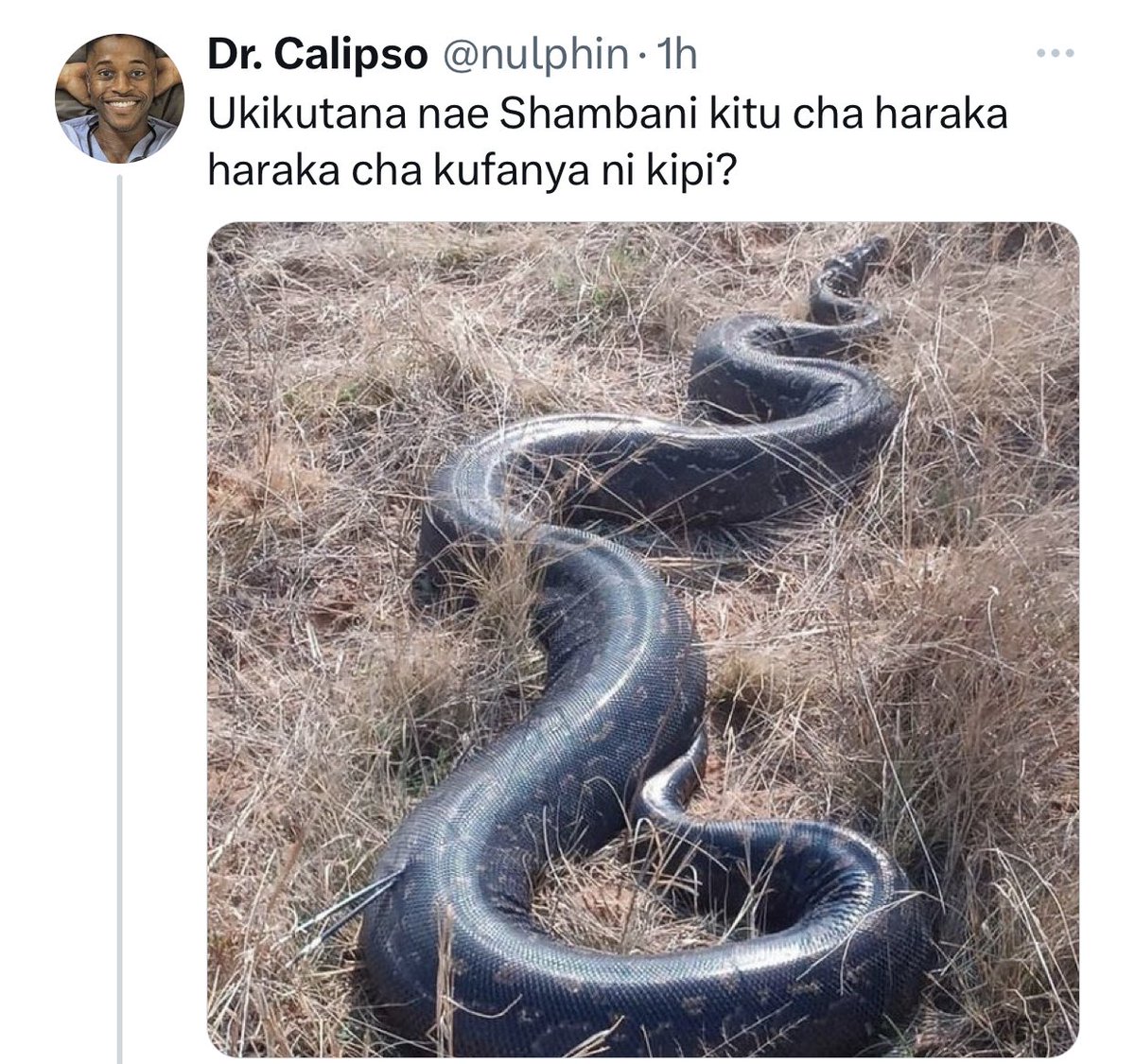 ninacoli's tweet photo. @nyuki_malkia Wizi wa Content 🤣🤣🤣🤣 https://t.co/mTWA9PmdKj