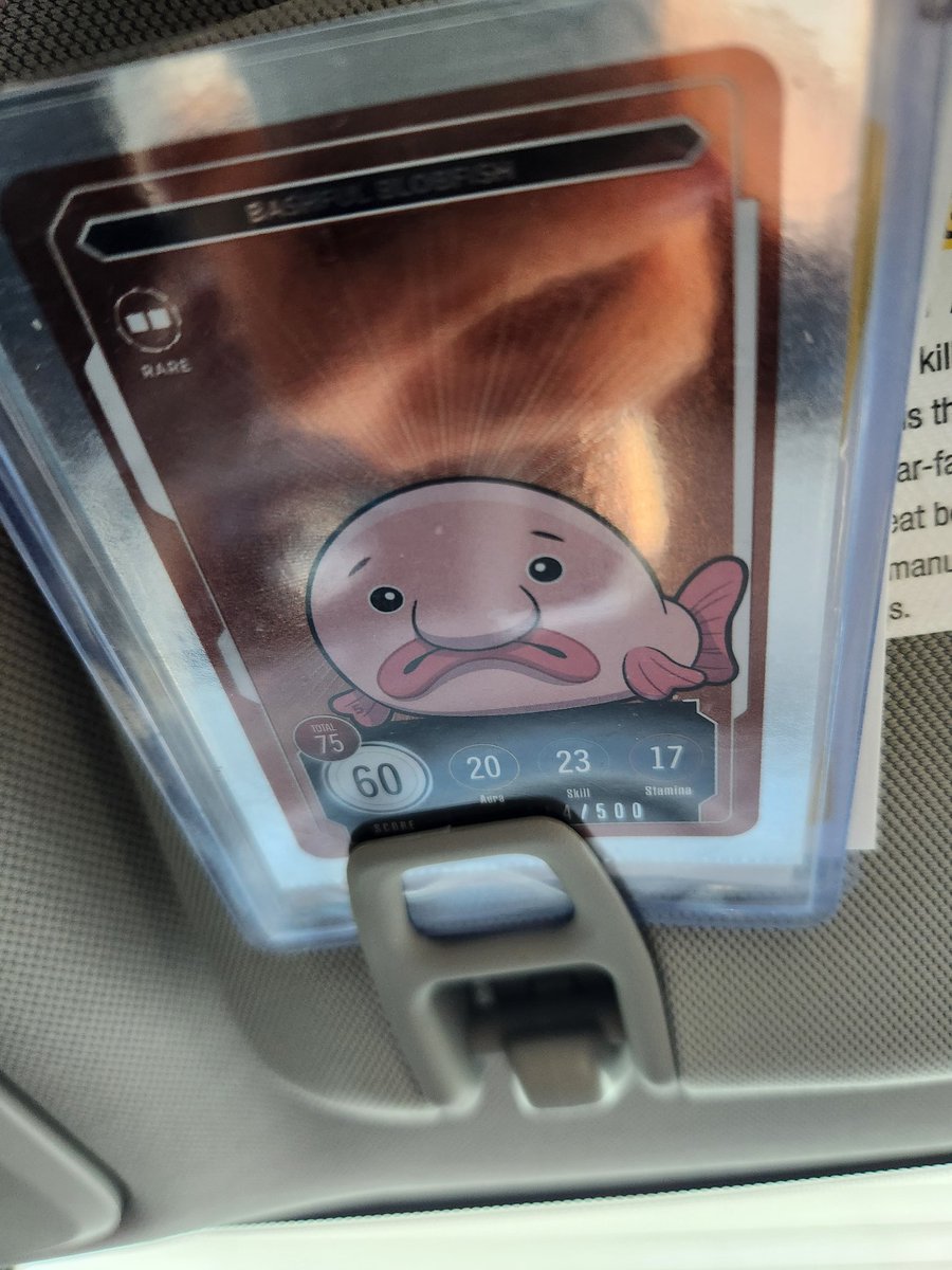 VeefriendsEdits's tweet photo. Come on #Blobfish let's get this day started.
#BashfulBlobfish @veefriends https://t.co/dXDZhFIIQJ