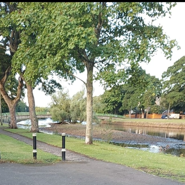 Learning for Sustainability at MGS tweet media