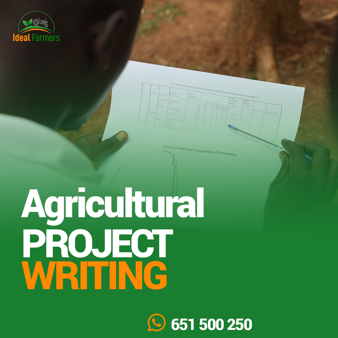 ideal_farmers's tweet photo. We provide excellent agriculture project writing services that will assist you in achieving your objectives and giving life to your concepts.

Our group of knowledgeable writers and researchers will collaborate with you at every stage to make sure your assignment is a success. 📝 https://t.co/WbkGZo5vql