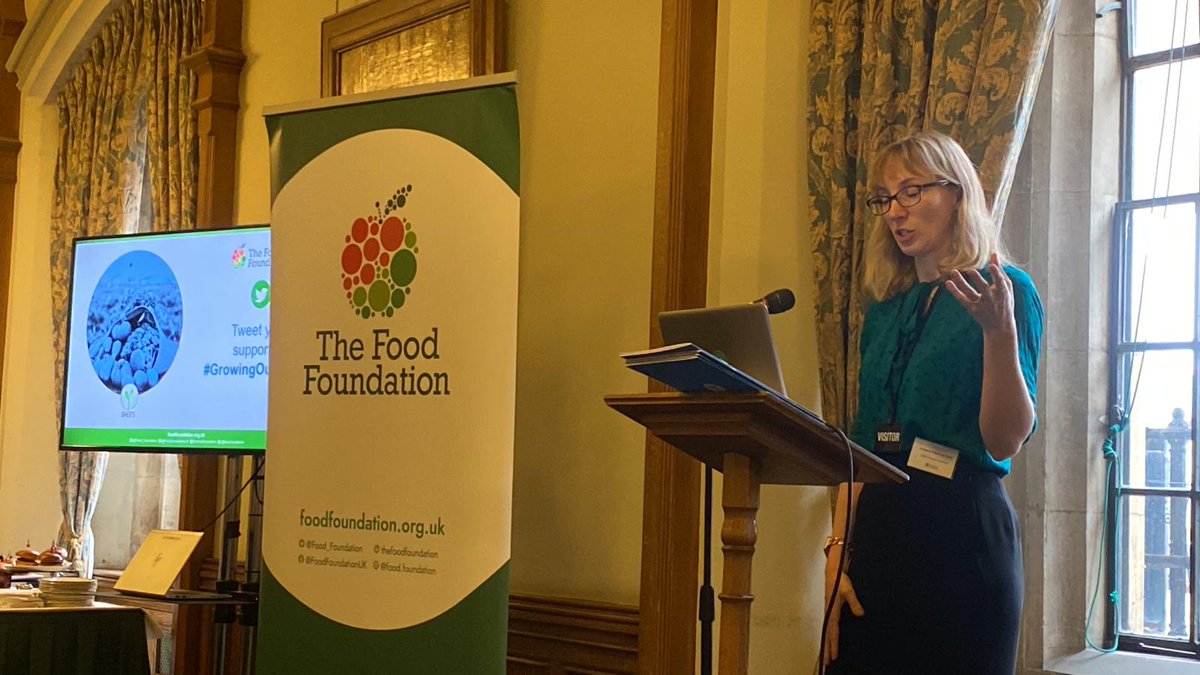 Food_Foundation's tweet photo. Thanks to all who came to our #GrowingOur5ADay event in @UKParliament 

Really insightful discussions &amp; insights from panellists &amp; audience on the win-wins of increasing fruit &amp; veg consumption &amp; production for health, biodiversity, #foodsecurity &amp; #backingbritish growers 

[1/2] https://t.co/yulI6xqpWE