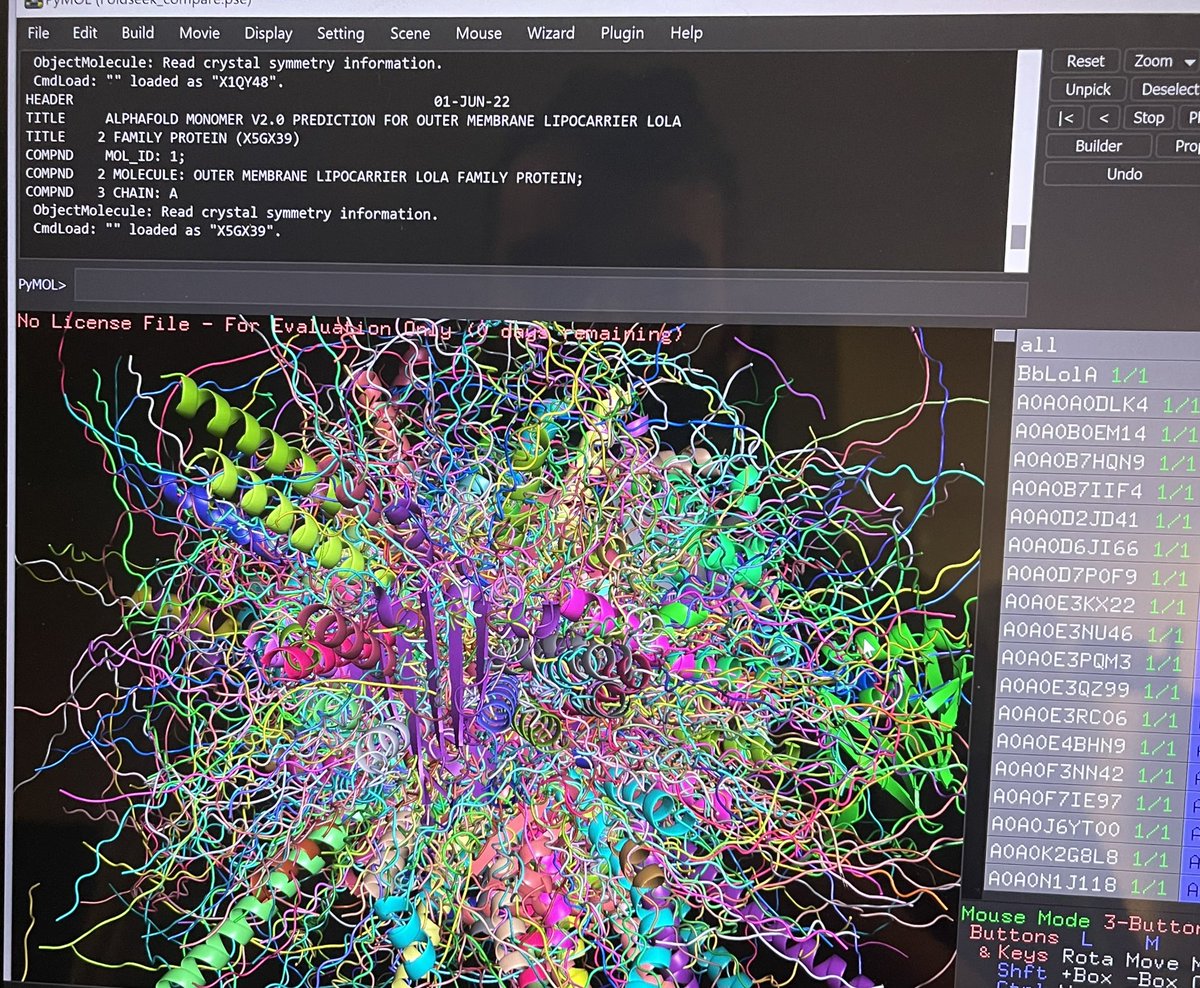 bmurphy96's tweet photo. 1,000 structures loaded into PyMOL = protein confetti 🎊 https://t.co/upR7KBfTzC