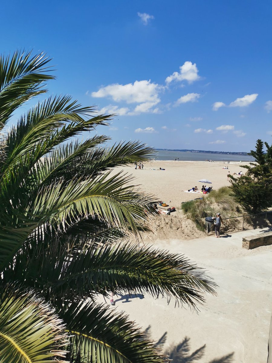 Pascal-35 😉 tweet media