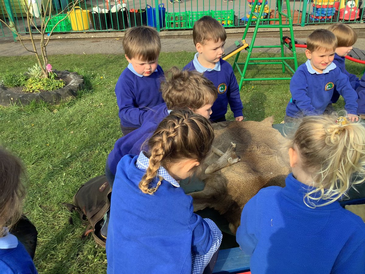 llanrhidianp's tweet photo. #LlanPiliPala have had a great morning learning about our ancestors. Thank you to Helen from Gower Unearthed. #LlanHum #LlanComm https://t.co/7dTN4szm4R