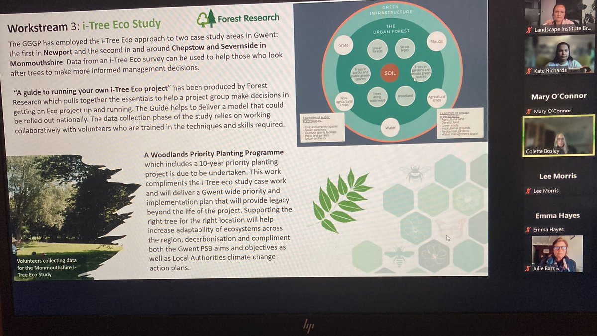 Our branch AGM has begun, kicked off with a talk about <a href="/GwentGreenGrid/">Gwent Green Grid</a> 🌳