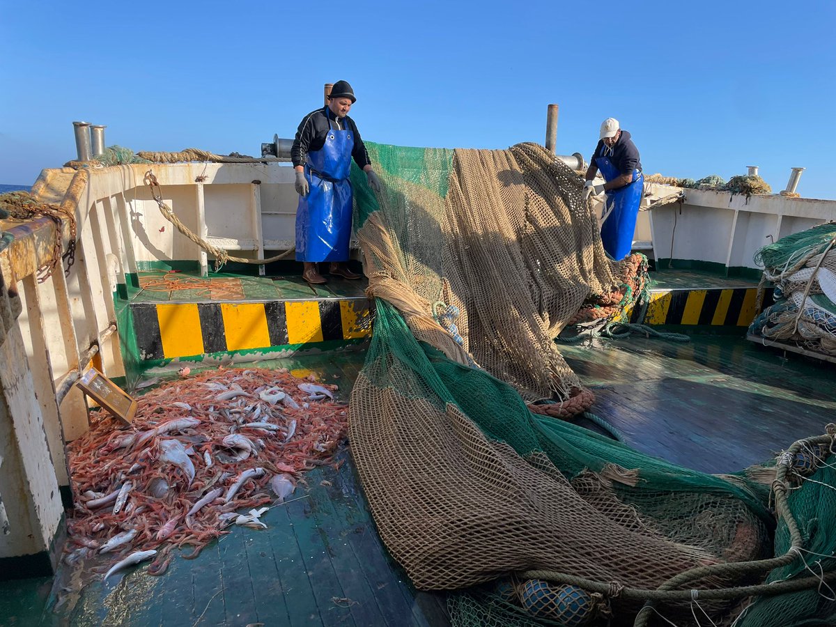 UN_FAO_GFCM's tweet photo. #GFCM and #WWF are in #Sicily for a joint pilot study:

📌testing grid to improve the #selectivity of bottom #trawlers targeting deep-water rose shrimp in the Strait of Sicily. https://t.co/cn9CQhxCLz