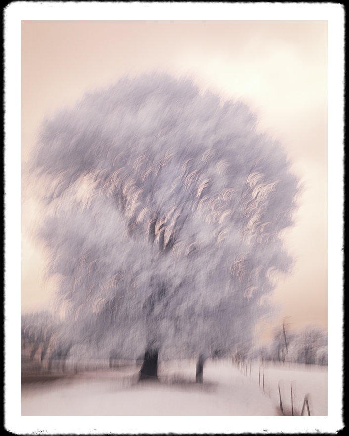 MLord_Artist's tweet photo. Infrared photography
with a 665nm filter can create a dreamy, ethereal atmosphere, with a warm, otherworldly glow that enhances the mood and adds a feeling of mysticism and intrigue."

Intentional blur photography using infrared 665nm https://t.co/uEhAwOXDZ5