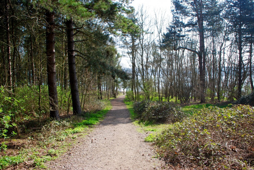 #Orwell #CountryPark #Suffolk @keeper_of_books