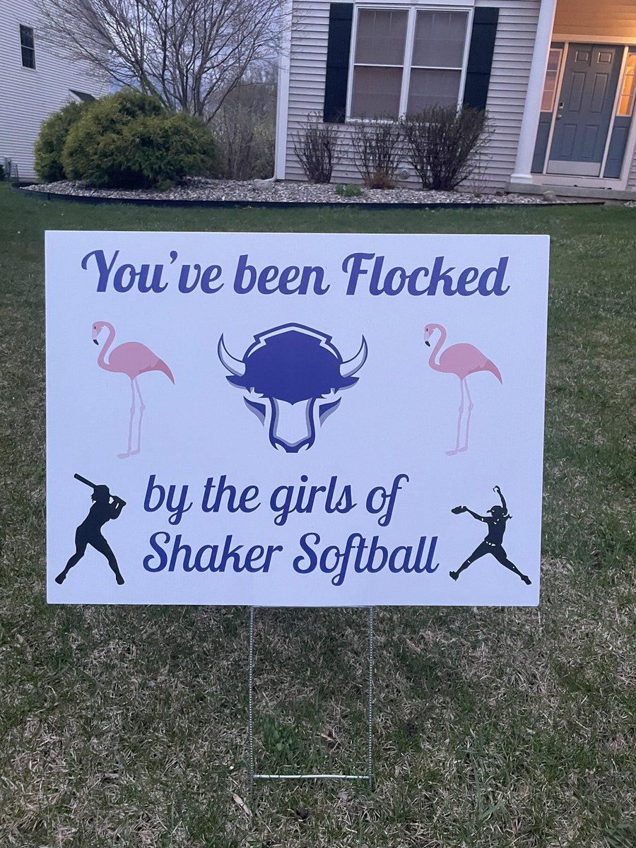 A_Corey714's tweet photo. @ShakerGirlsSb #flocked #whoisnext 💙🤍💙 https://t.co/rkda7SvDxa