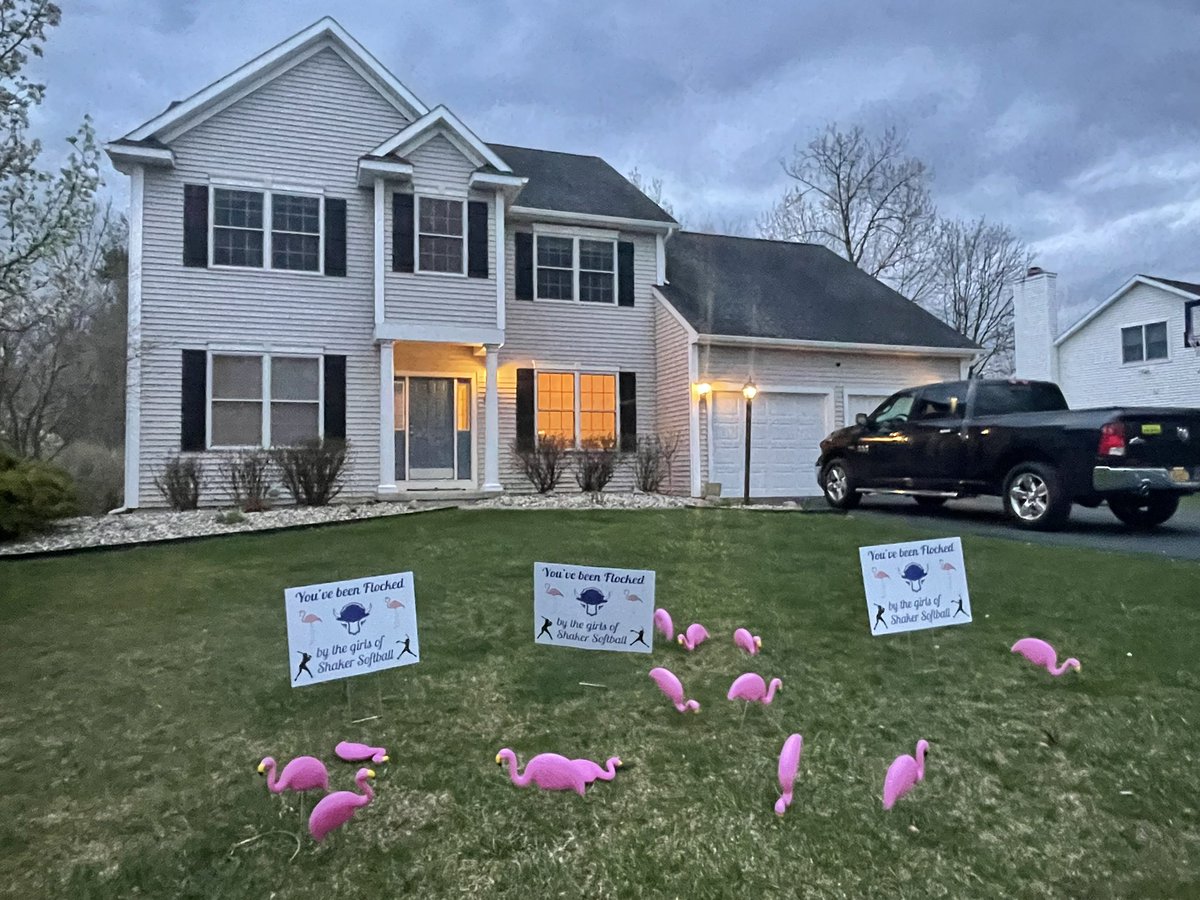 A_Corey714's tweet photo. @ShakerGirlsSb #flocked #whoisnext 💙🤍💙 https://t.co/rkda7SvDxa