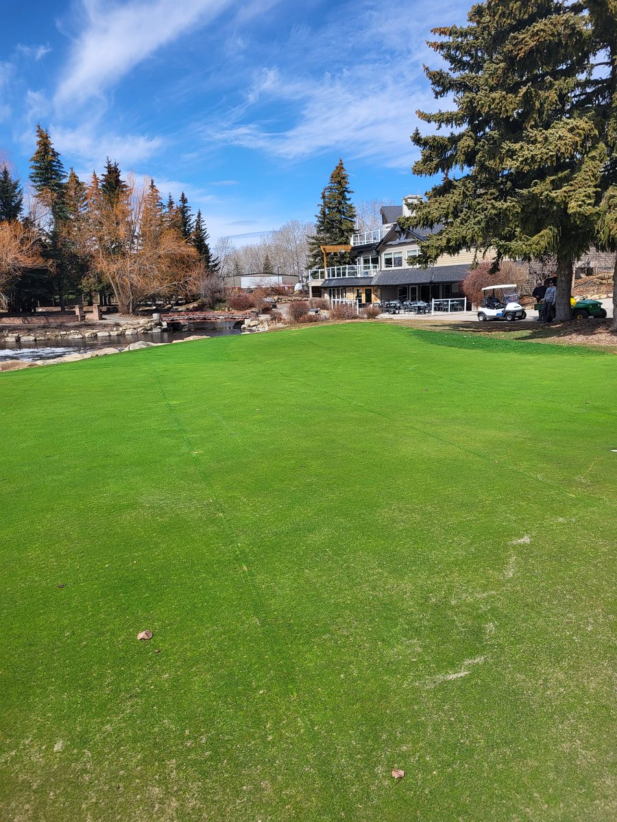 Dale Ekman tweet media